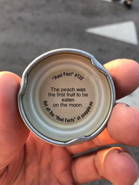 Snapple Aesthetic, Snapple Facts, Odd Facts, Aesthetic Ig, Real Facts, Picture Books, Fun Fact, Interesting Facts, Nanny