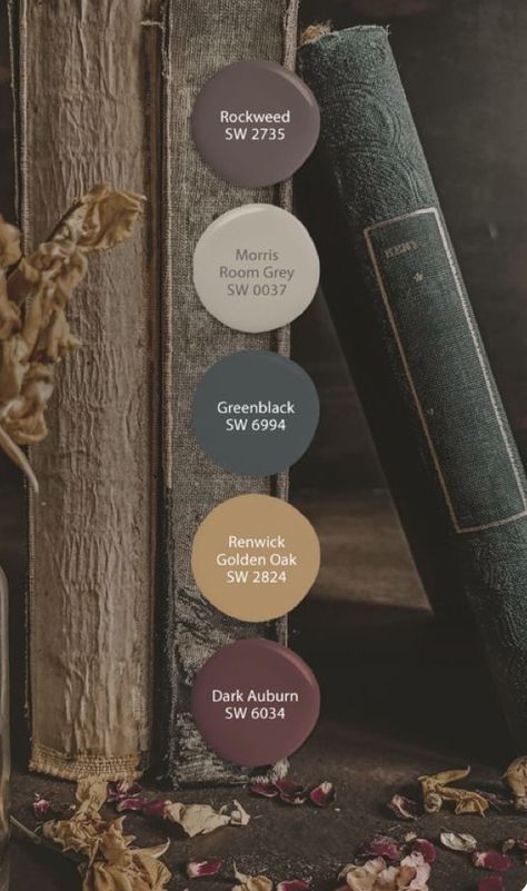 Moody Cottage Color Palette, Black Bedroom Paint Colors, Sw Rosemary Coordinating Colors, Bathroom Color Pallet Ideas, Rustic Home Paint Colors Interiors, Moody Paint Colors, Dark Academia Color Palette, Paint Themes, House Color Palettes