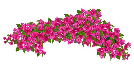 Free Vector | Blooming purple bougainvillea branch realistic illustration isolated at white background vector illustration Free Photoshop Overlays, Bougainvillea Tree, Book Favors, Frames Design Graphic, Realistic Illustration, Digital Invitations Wedding, Bff Gifts Diy, Print Design Art, Wedding Elements