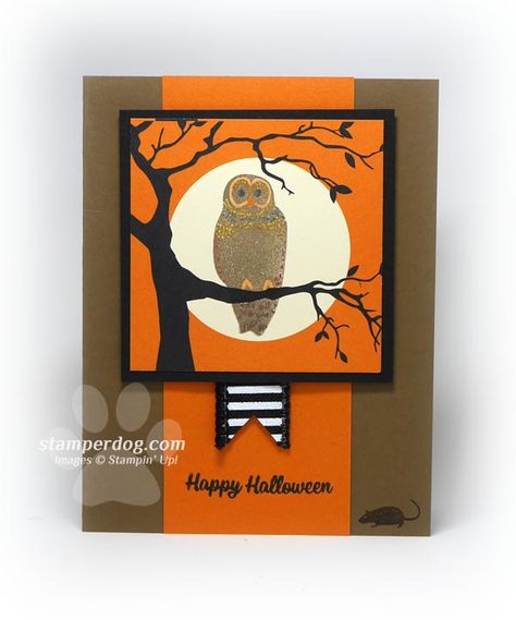 Stampin Up Halloween, Owl Cards, Owl Halloween, Happy Owl, Spooky Cat, Spooky Night, Halloween Owl, Free Stamps, Owl Card