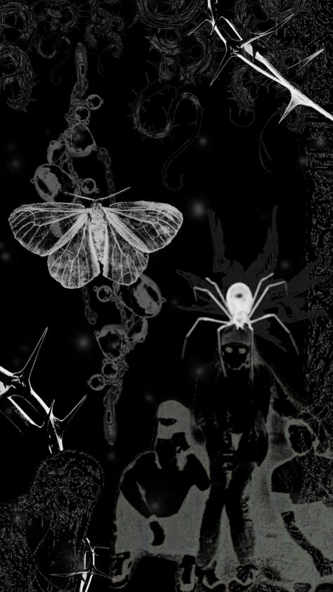 Ghostcore Wallpaper, Alternative Phone Background, Punk Phone Wallpaper, Moth Wallpaper Aesthetic, Alternative Aesthetic Wallpaper, Spider Grunge Aesthetic, Black Spider Aesthetic, Moth Background, Moth Phone Backgrounds