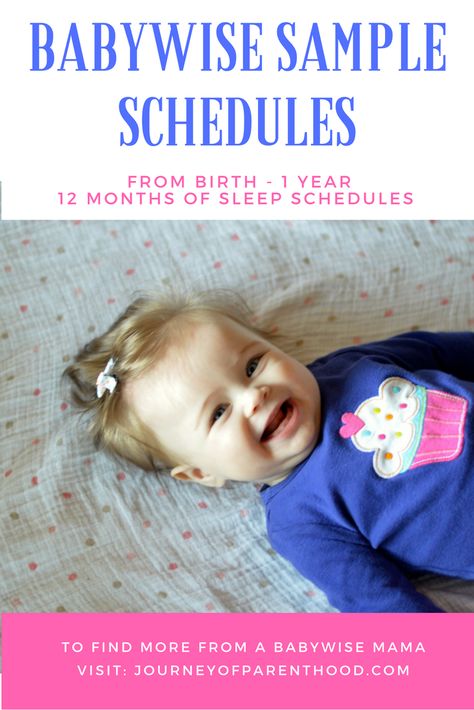 Babywise Schedules: Birth ~ 12 Months (One Year) - The Journey of Parenthood... Baby Schlafplan, Babywise Schedule, Moms On Call, Baby Wise, Newborn Sleep Schedule, Baby Whisperer, Newborn Schedule, Baby Schedule, Baby Sleep Schedule