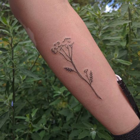 Yarrow flower tattoos design ideas Dill Plant Tattoo, Yarrow Plant Tattoo, Yarrow Flower Tattoo, Weeds Tattoo, Lupine Tattoo, Flower Tattoo Simple, Yarrow Flower, Empty Canvas, Wildflower Tattoo