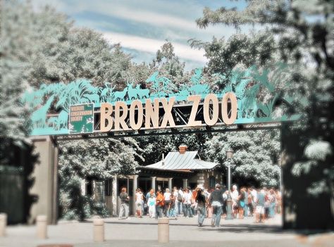 Zoo Background Aesthetic, Aesthetic Background Places For Zepeto, Zoo Aesthetic Background, Preppy Gym Background, Zoo Background, Preppy Places, Background Place Aesthetic, Zepeto Background Aesthetic Living Room, Aesthetic Location