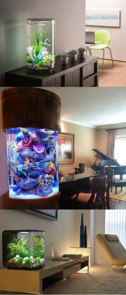 L'aquarium est un must have pour une décoration interieur design et moderne. Voici quelques modèles d'aquariums très originaux #aquarium #design #déco Bathroom Aquarium, Wall Aquarium Design, Wall Aquarium, Aquarium Stand, Home Decor Bathroom, Aquarium Design, Crate Paper, Decor Bathroom, Aquariums