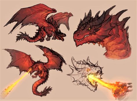 Dragon Poses, Dragon Anatomy, Dragon Drawings, Dragon Sketch, Cool Dragons, Fantasy Beasts, Monster Concept Art, Dragon Pictures, Fantasy Creatures Art