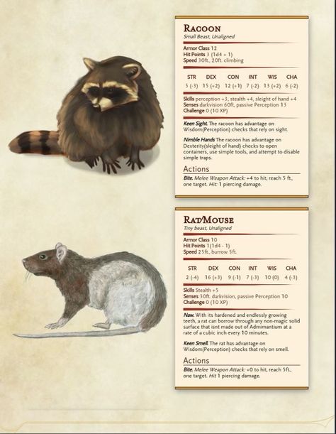 Fox Familiar Dnd, Dnd Homebrew Pets, D&d Pets, Dnd Raccoon, Dnd Homebrew Creatures, Dnd Familiar Ideas, Dnd Generator, Dnd Pets, Dnd Animals