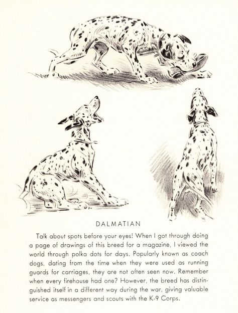 Vintage Morgan Dennis Dalmatian Print Dalmatian Illustration Wall Art Decor 4851 Dalmatian Illustration, Vintage Dachshund, Horse Art Print, Dalmatian Print, Dog Artwork, Dog Books, Whatsapp Wallpaper, Illustration Wall Art, Gallery Wall Art