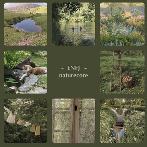 Enfj Aesthetic Pictures, Enfj Aesthetics Core, Enfj Personality Aesthetic, Enfj Aesthetics, Enfj Core, Enfj Personality, Intp Entp, Mbti Charts, Enfj T