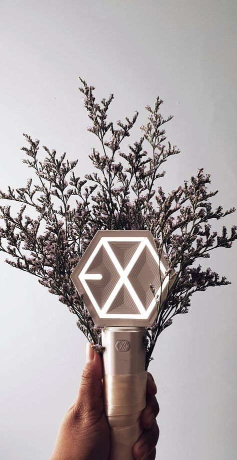 Exo Logo Wallpapers, Exo Background Wallpapers, Lightstick Exo, Exo Lightstick, Exo For Life, Exo Logo, Exo Merch, Kpop Lightstick, Exo Background