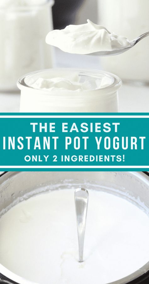 #GourmetMilkshakesandSmoothies Lactose Free Instant Pot Yogurt, Instant Pot Skyr Yogurt, Apple And Berry Crumble, Instant Pot Yogurt Recipe, Make Your Own Yogurt, Healthy Dessert Options, Make Greek Yogurt, Instant Pot Yogurt, Homemade Greek Yogurt