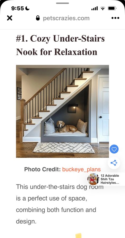 Dog Corner Under Stairs, Under Stairs Ideas Dog, Doghouse Under Stairs, Under Stairs Dog House Ideas, Under Stairs Ideas For Dogs, Understairs Dog Kennel Ideas, Under Stairs Dog Area, Under Stair Doghouse, Dog Area Under Stairs