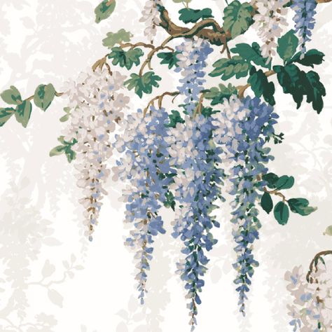 The enchanting nature of the long, trailing scented blooms of Wisteria was the inspiration behind this vintage floral design. With its lush beauty, this charming vining plant symbolises long-life and immortality, and lends itself to being the perfect print to bring a magical calm to your space. If you’re looking for a design to define the chinoiserie and oriental trend, this is it. Hanging Flower Painting, Border Floral Design, Wisteria Mural, Wisteria Drawing, Wisteria Tattoo, Flower Murals, Border Painting, Beautiful Border Design, Truck Art Pakistan