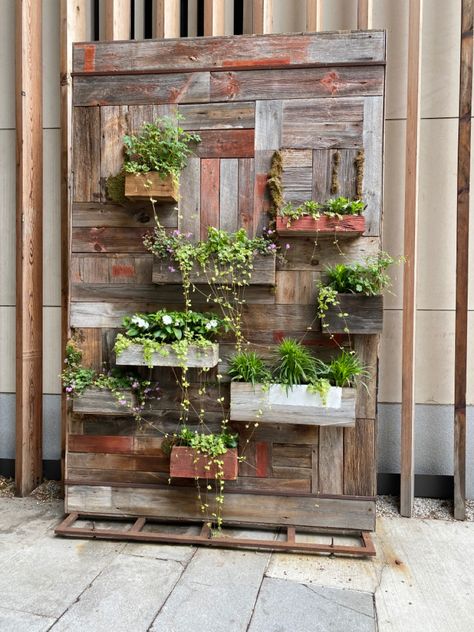 Living Wall Diy, Distressed Wood Wall, Small Balcony Garden, Living Wall Art, Green Box, Hanging Succulents, Wall Decor Design, Balcony Decor, Living Wall