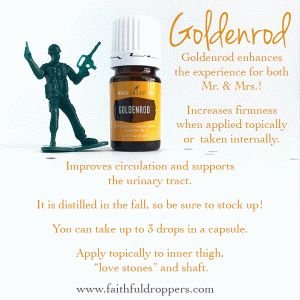 "Love school" for him - Balancing the Hubby's hormones with essential oils - Faithful Droppers Goldenrod Essential Oil Young Living, Idaho Blue Spruce Essential Oil, Goldenrod Essential Oil, Essential Oil For Men, Love School, Oils For Men, Yl Essential Oils, Chamomile Essential Oil, Living Essentials Oils