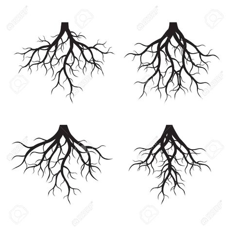 Roots Illustration, Roots Drawing, Montreal Tattoo, Tree Roots Tattoo, Roots Tattoo, Armband Tattoos, Tree Of Life Tattoo, Tattoo Style Drawings, Black Tree