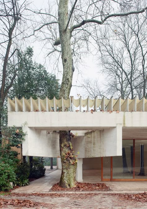 AD Classics: Nordic Pavilion in Venice,The Nordic Pavilion (Giardini, Venice). Image © Åke E:son Lindman Nordic Pavilion, Sverre Fehn, Nordic Architecture, Architecture Classic, Pavilion Architecture, Modern Architecture Design, Puerto Morelos, Belek, Venice Biennale