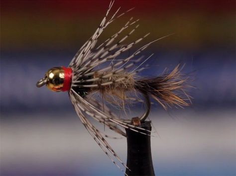 Fly Fishing Nymphs, Colorado Lakes, Bass Flies, Fly Fishing For Beginners, Aquatic Insects, Orvis Fly Fishing, Blow Torch, Small Mouth, Fly Fishing Flies Pattern