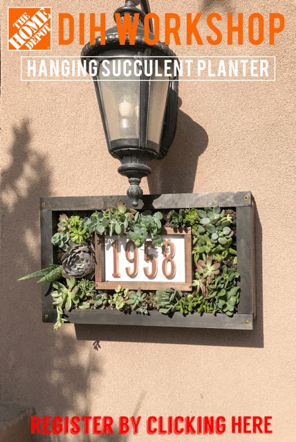 Hanging Succulent Garden – All Things Thrifty Diy Letterbox, Moss House, Indoor Plants Diy, Large Hanging Planters, Succulent Ideas, Diy Hanging Planter, Wall Plant Hanger, Macrame Plant Hanger Tutorial, Custom House Numbers