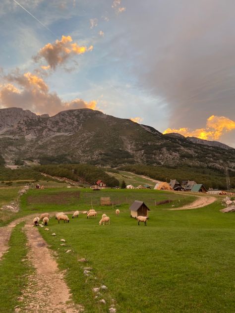 sheep graze in the meadow, against the backdrop of mountains and small village houses Sheep Mountain, Sheep Landscape, Cute Village, Mountain Aesthetic, All Anime Characters, Cute Sheep, Mountain Village, Future Life, All Anime