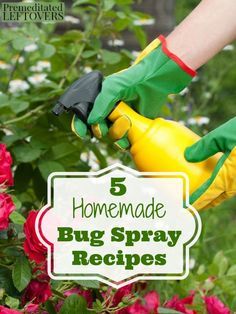 Homemade Bug Spray Recipe, Garden Bug Spray, Bug Spray For Plants, Homemade Insecticide, Homemade Bug Spray, Diy Bug Spray, Bug Spray Recipe, Plant Bugs, Lawn Pests