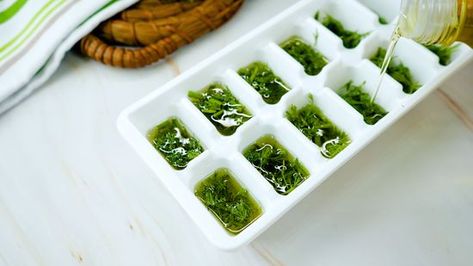 4 Simple Ways to Freeze Dill - wikiHow Freezing Dill, Herb Ideas, Dill Sauce, Freezer Burn, Seasons Change, Ice Cube Trays, Veggie Side Dishes, Fresh Dill, Veggie Sides