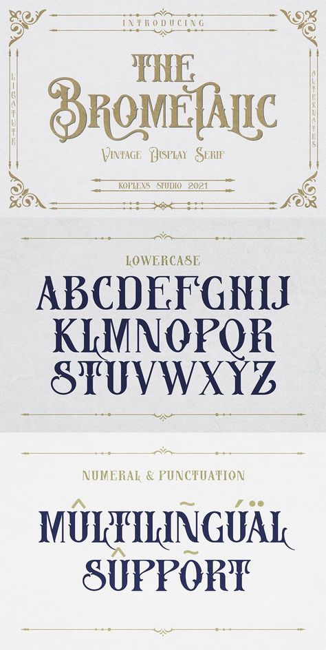 Plans - Creative Fabrica Vintage Fonts Alphabet, Font Vintage, Canva Fonts, Groovy Font, Alphabet Fonts, Vintage Font, Typeface Font, Font Inspiration, Graphic Design Fonts