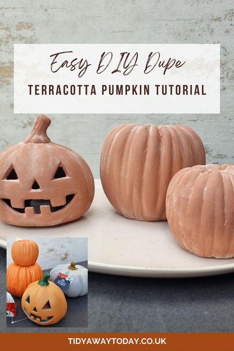 Easy step by step guide to making some Faux Terracotta Pumpkins - these DIY Dupes look like the real deal and are perfect for Halloween! How To Make Terracotta Pumpkins, Terracotta Pumpkins, Pumpkin Tutorial, Diy Pumpkin, Step By Step Guide, Easy Step, Pumpkin Carving, Halloween Fun, Step Guide