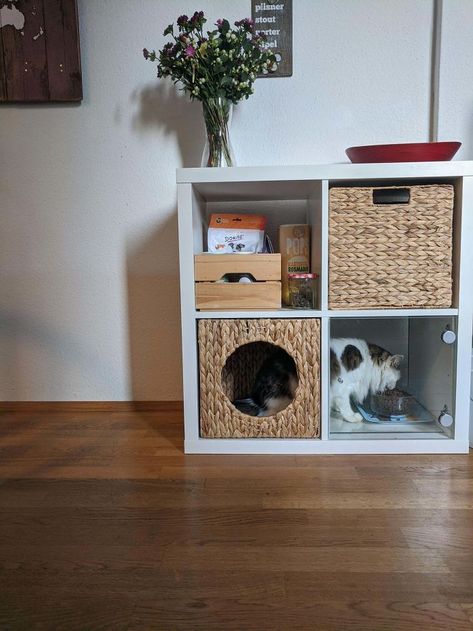 Kallax Puppy-Proof Cat Feeding Station Station; Food And Treat Storage Above. Cama Ikea Kura, Ikea Upgrades, Cat Food Station, Katt Diy, Cat Feeding Station, Cama Ikea, Ikea Kura Bed, Ikea Kura, Puppy Proofing