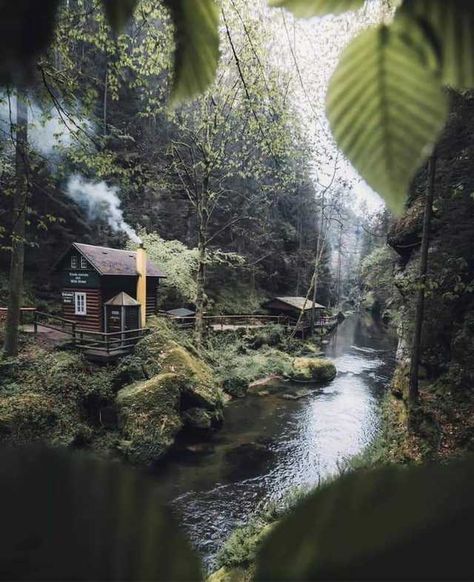 Dreamy cabin on an island - Imgur Supraviețuire Camping, Houses Design, Foto Langka, Forest Cabin, Beautiful Cabins, Farm Houses, Cottage In The Woods, Little Cabin, Small Cabin