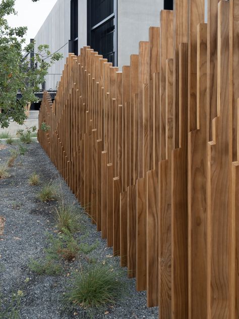 Lane Goodkind + Associates Slatted Fence Ideas, Short Fence Ideas, Landscape Screening, Driveway Fence, Ecology Design, Backyard Privacy, Modern Fence, Privacy Fence, Backyard Fences