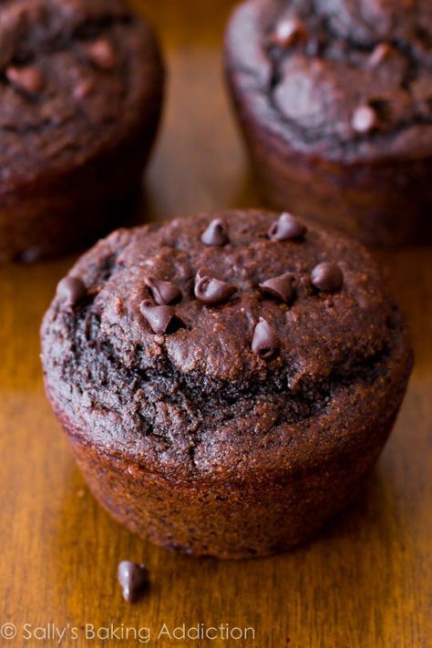 You won't realize these double chocolate muffins are lightened-up and low fat! Easy healthy muffin recipe on sallysbakingaddiction.com Yoghurt Muffins, Yogurt Chocolate, Double Chocolate Chip Muffins, Sallys Baking, Low Fat Desserts, Double Chocolate Muffins, Chocolate Banana Muffins, Apple Muffins, Chocolate Chip Muffins