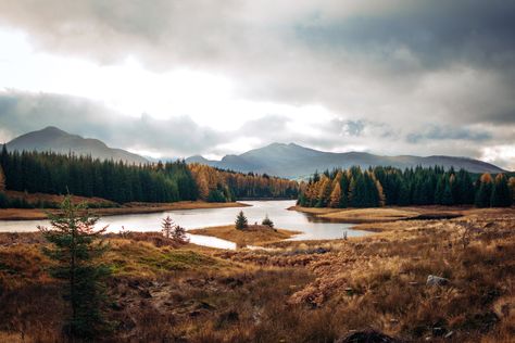 Autumn Forest Print, River Spean, Scotland Print, Photography Landscape Art, Nature Print, Wall Art, Scottish Art, Home Decor Scotland Aesthetic, Scottish Mountains, Scotland Landscape, Scottish Art, Scottish Landscape, Water Reflections, Autumn Forest, Nature Prints, Painting Projects