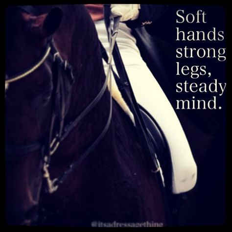 "Soft hands, strong legs, steady mind." kinda more like legs of steel, you know because of track and all. Dressage Quotes, Equine Quotes, Inspirational Horse Quotes, Horse Riding Quotes, Equestrian Quotes, Riding Quotes, Strong Legs, Dressage Horses, Horse Quotes