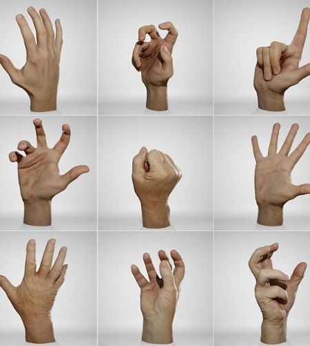 Hand Ref, Hand Anatomy, Draw Hands, Hand Drawing Reference, Figure Reference, Hand Reference, Human Reference, Male Hands, Figure Drawing Reference