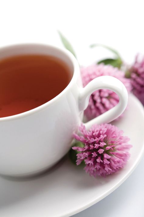 Herbs--Bladder Infection Tea For Sore Throat, Sore Throat Tea, For Sore Throat, Best Herbal Tea, Health Tea, Respiratory Infection, Herbal Teas, Sore Throat, Herbal Tea