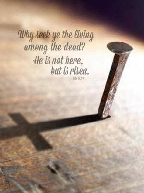 He Is Risen Quotes, Easter Bible Verses, Rise Quotes, Resurrection Day, Jesus Is Risen, Resurrection Sunday, Easter Quotes, Jesus Resurrection, San Francesco