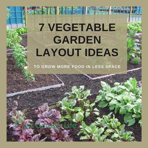 7 Vegetable Garden Layout Ideas To Grow More Food In Less Space — Food Garden Life: Edible Garden, Vegetable Garden, Edible Landscaping Vegetable Garden Layout, Garden Formal, Borders Garden, Scratch Book, Entrance Garden, Embroidery Garden, Vegetables Garden, Garden Layouts, Vegetable Garden Planner