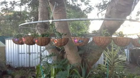 Recycled Trampoline, Trampoline Ideas, Old Trampoline, Backyard Trampoline, Best Trampoline, Recycled Projects, Backyard Garden Design, Pergola Designs, Garden Tips