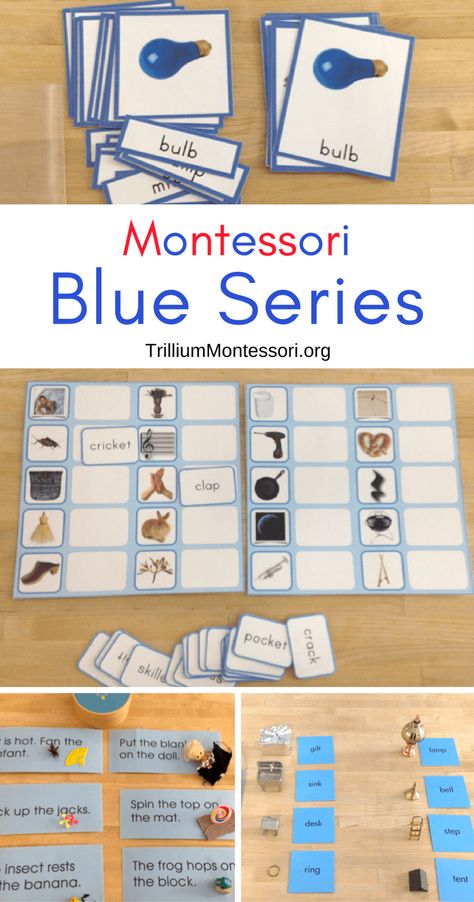 The Montessori Blue Series for Reading - Trillium Montessori Montessori Blue Series, Montessori Phonics, Montessori Reading, Montessori Kindergarten, Montessori Language, Montessori Printables, Montessori Elementary, Montessori Lessons, Montessori Art