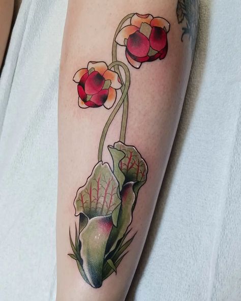 Pitcher Plant Tattoo, Plant Tattoo, Pitcher Plant, Tat Ideas, Tatting, Tattoos, Plants