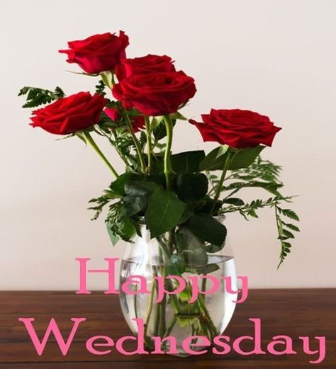 Wednesday Good Morning Images, Happy Wednesday Good Morning, Wednesday Morning Images, Wednesday Good Morning, Good Morning Happy Wednesday, Wednesday Images, Happy Wednesday Images, Birthday Images Hd, Good Morning Wednesday