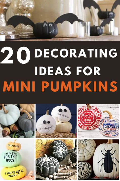 20 mini pumpkin decorating ideas for halloween Mini Pumpkins Decorating, Paint Mini Pumpkins Ideas, Ideas For Painting Pumpkins Easy, Mini Pumpkin Decor, Painting Small Pumpkin Ideas, Decorating Mini Pumpkins, Tiny Pumpkin Ideas, Tiny Pumpkin Decorating Ideas, Decorate Small Pumpkins