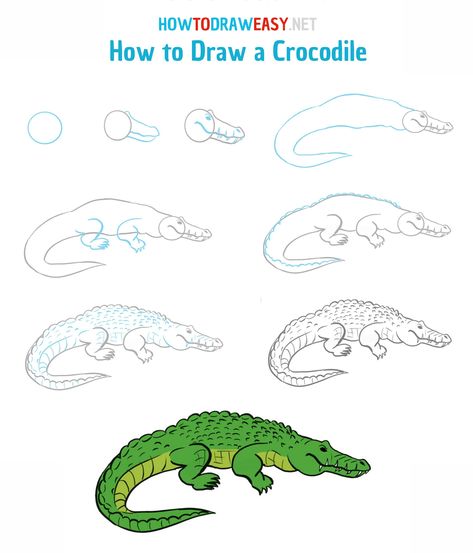 #crocodile #animals #animal #drawing #howtodraw #draw #stepbystep #predator #green Crocodile Pictures, Crocodile Drawing, Subbing Ideas, Journal Drawings, Draw Animals, Drawing Tutorials For Kids, Drawing Heads, Brand Ideas, Animal Drawing