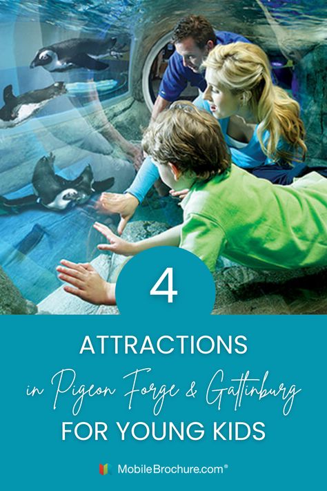 Check out four things to do in Pigeon Forge and Gatlinburg for young children and toddlers. Pigeon Forge With Kids, Can Your Pet, Pigeon Forge Tn, Country Fair, Indoor Waterpark, Pony Rides, Toddler Travel, Thrill Ride, Christmas Travel