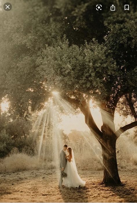 Wedding Landscape Photography Photo Ideas, Photography Ideas For Weddings, Wedding Foto Ideas Creative, Rustic Wedding Photos Ideas, Rustic Wedding Portraits, Woods Elopement Photo Ideas, Outdoor Wedding Pictures Ideas, Woods Wedding Photography, Wedding Pictures In A Field