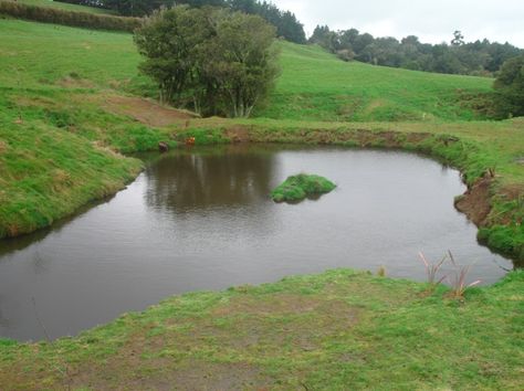 your own catchment pond dam on your own property is one way of making sure you have a reserve water source. It could be part of your aquaponics system Farm Dam Ideas, Dam Ideas, Pond Build, Dam Design, Sheds Ideas, Landscape Engineer, Retention Pond, Pond Construction, Water Catchment