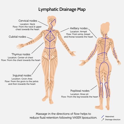 Lymph Brushing, Lymph Drainage Massage, Face Massage Anti Aging, Drainage Massage, Body Massage Techniques, Massage Therapy Techniques, Lymph Massage, Lymph System, Lymph Drainage