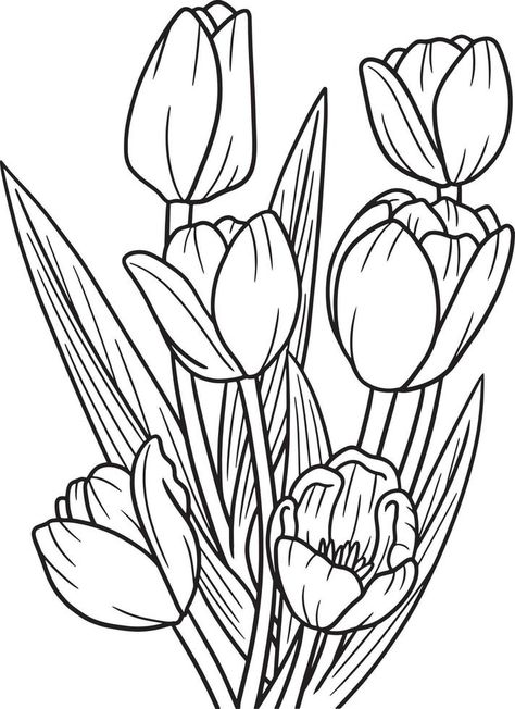 Tulips Flower Coloring Page for Adults Flower Coloring Sheets, Printable Flower Coloring Pages, Tulip Colors, Illustration Simple, Crocus Flower, Flower Outline, Doodle Coloring, Easy Coloring Pages, Flower Printable