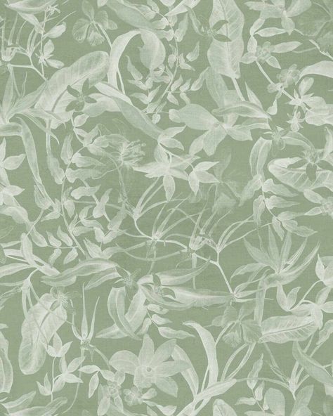 Foliage in Sage Green Wallpaper-Wallpaper-Buy Australian Removable Wallpaper Now Sage Green Wallpaper Peel And Stick Wallpaper Online At Olive et Oriel Custom Made Wallpapers Wall Papers Decorate Your Bedroom Living Room Kids Room or Commercial Interior Sophisticated Wallpaper, Green Bedroom Walls, Soft Sage Green, Sage Green Wallpaper, Green Texture, Latest Wallpapers, Wallpaper Trends, Paint Types, Flowers Wallpaper